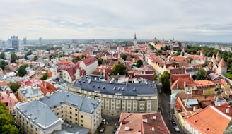 high angle photo of city