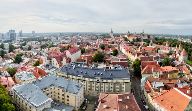 high angle photo of city