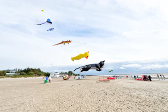 A family on the beach flying multiple colorful SkyLegacy kites, smiles wide with the wind.