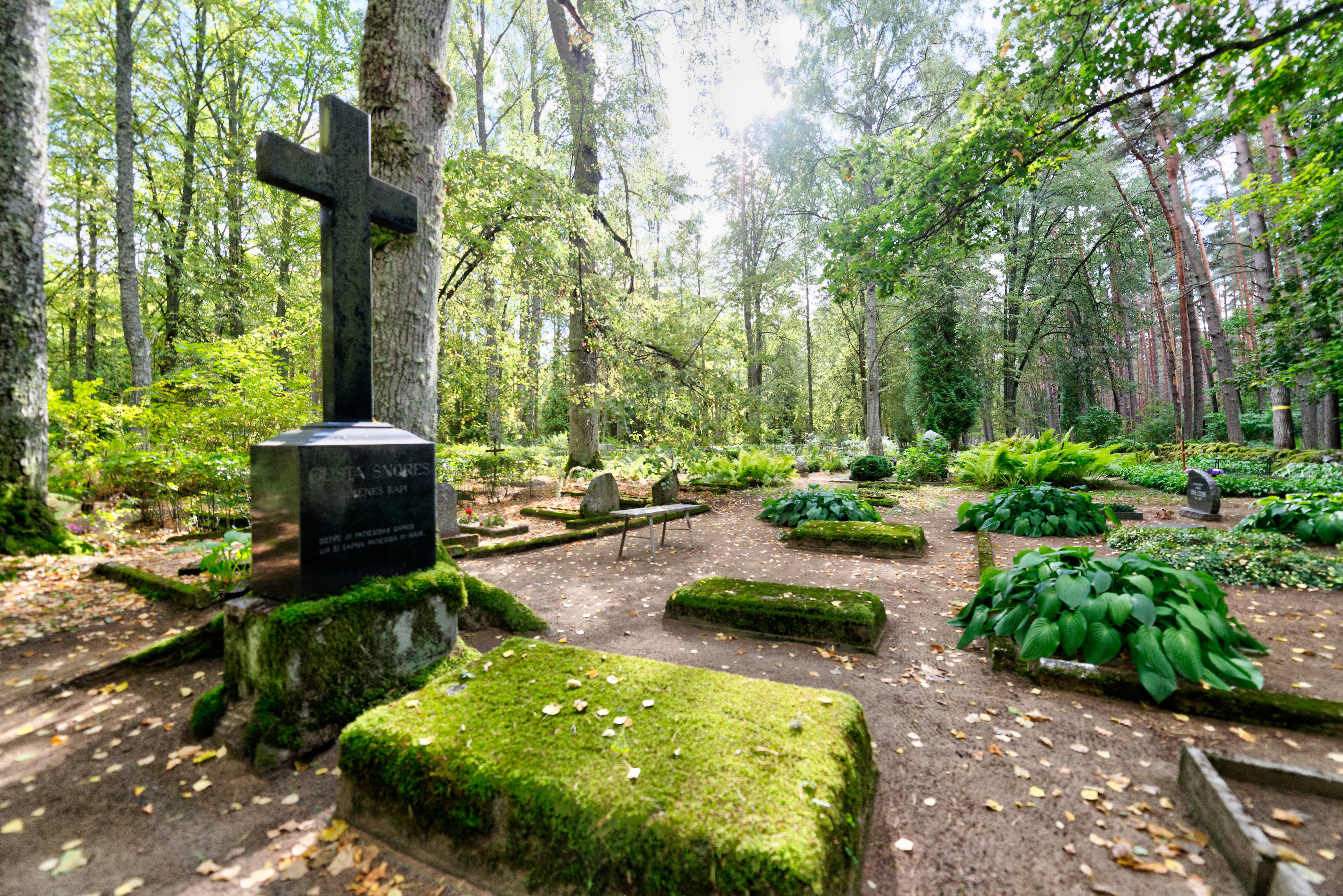 Photo by jacquesbopp