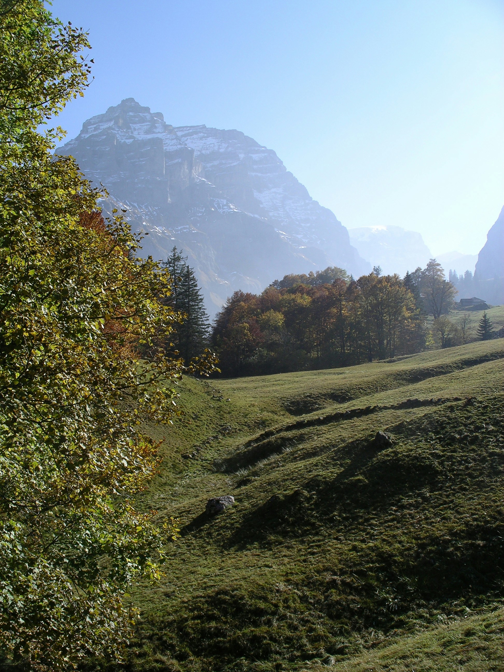 Photo by jacquesbopp