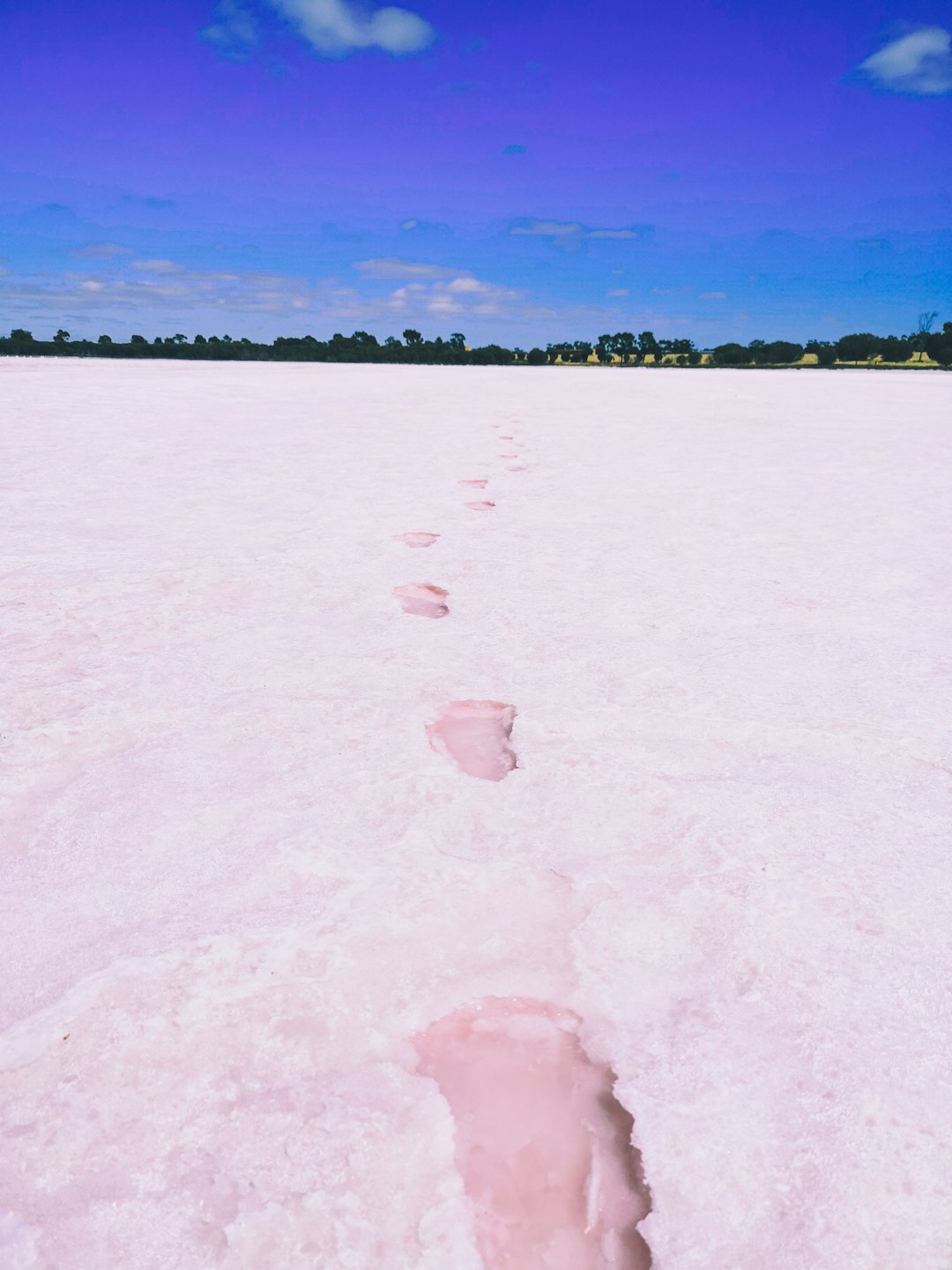 Travel Tips and Stories of Pink Lake in Australia