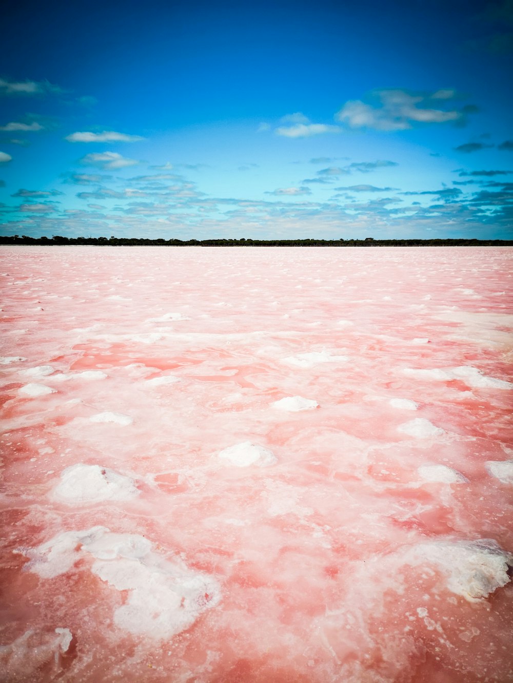 a large body of water with a sky in the background