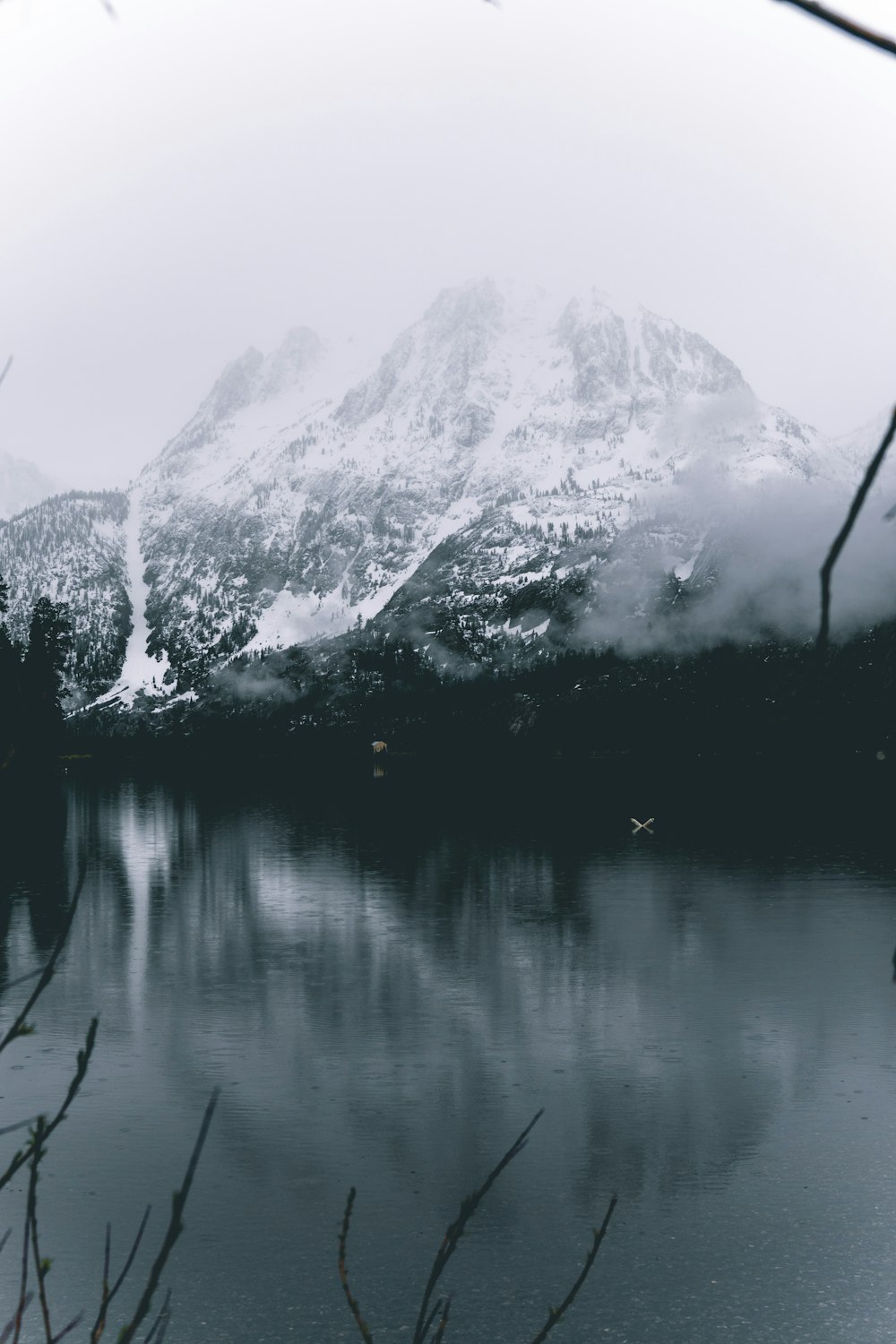 wide angle photo of mountain