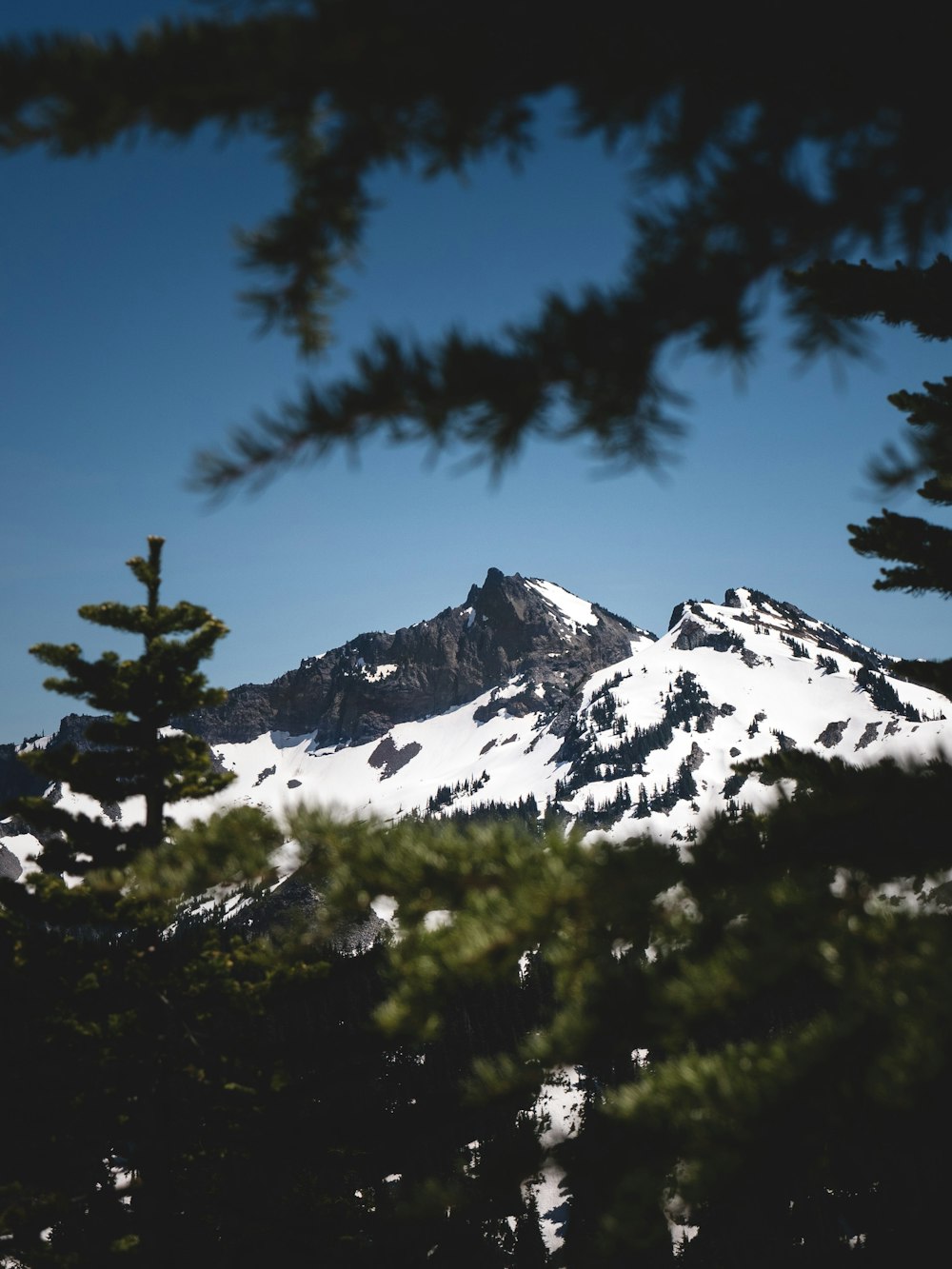 mountain covered with snow