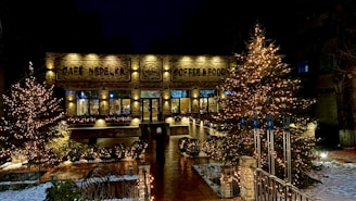 Festive celebration at the cafe with colorful lights and joyful guests.