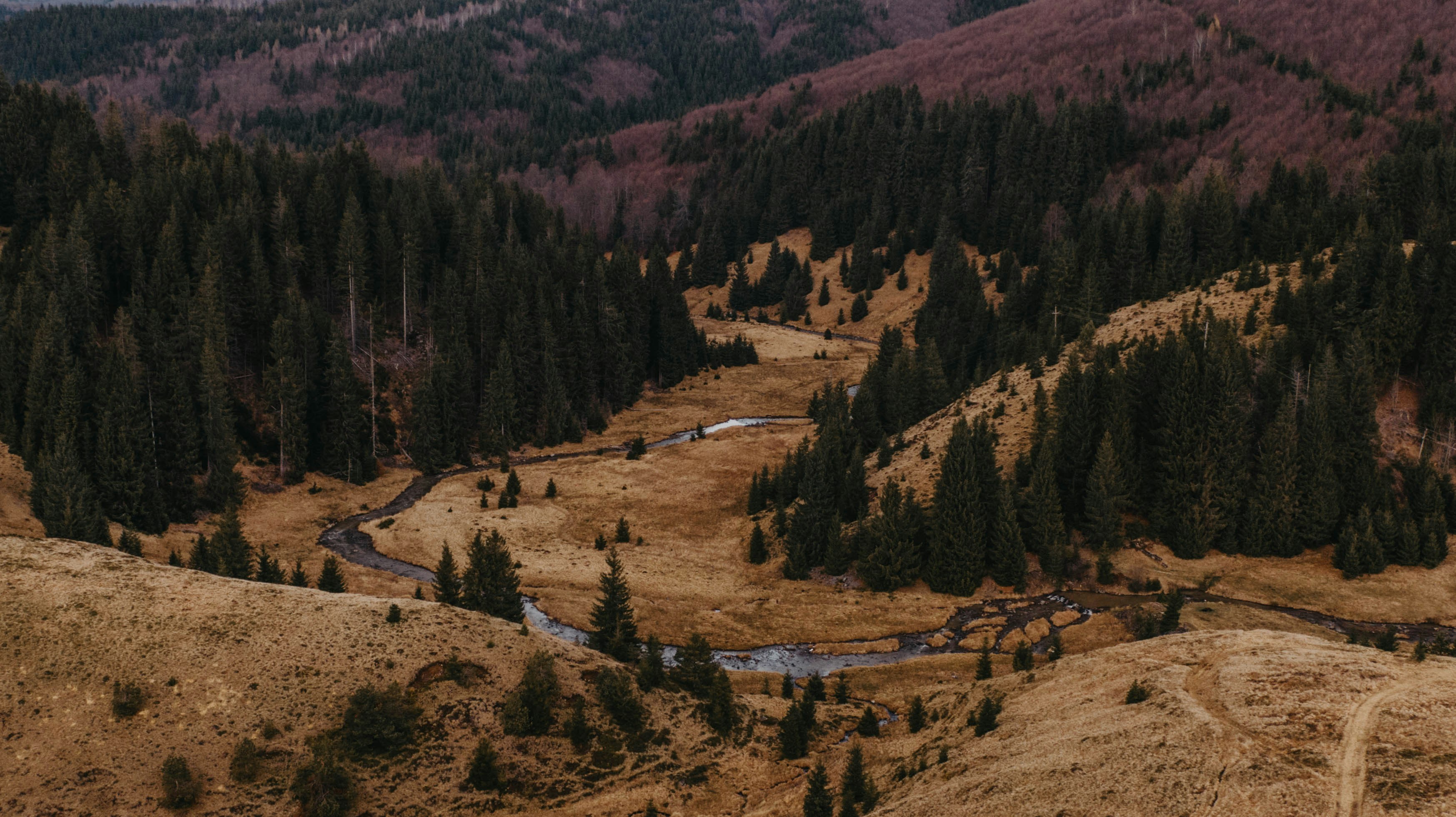 Photo by sandorlucas