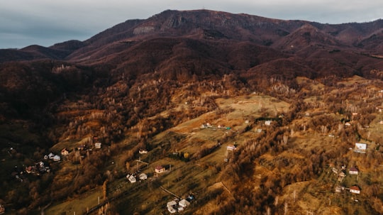high angle photo of mountain in Baia Mare Romania