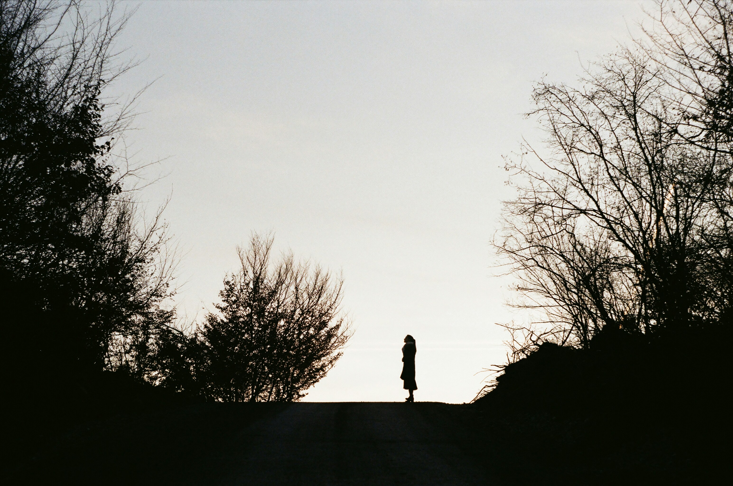 évolution de solitude