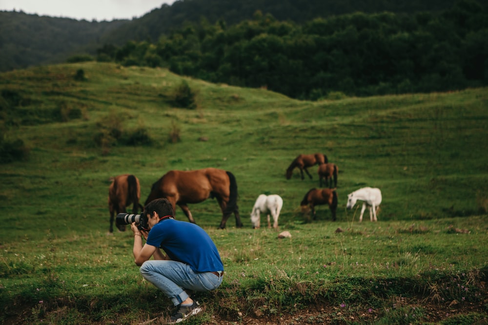 a man taking a picture of horses in a field