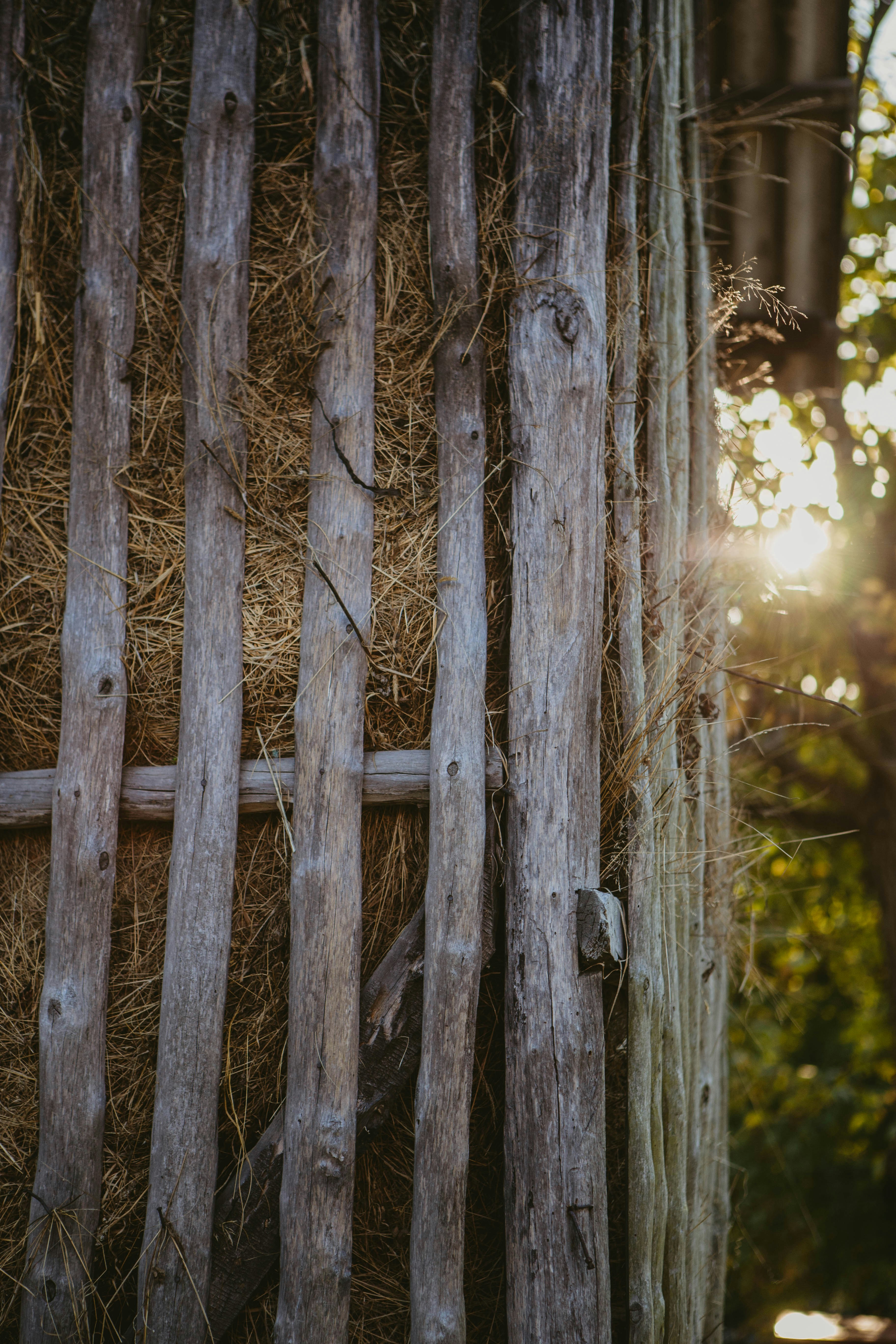 Photo by sandorlucas