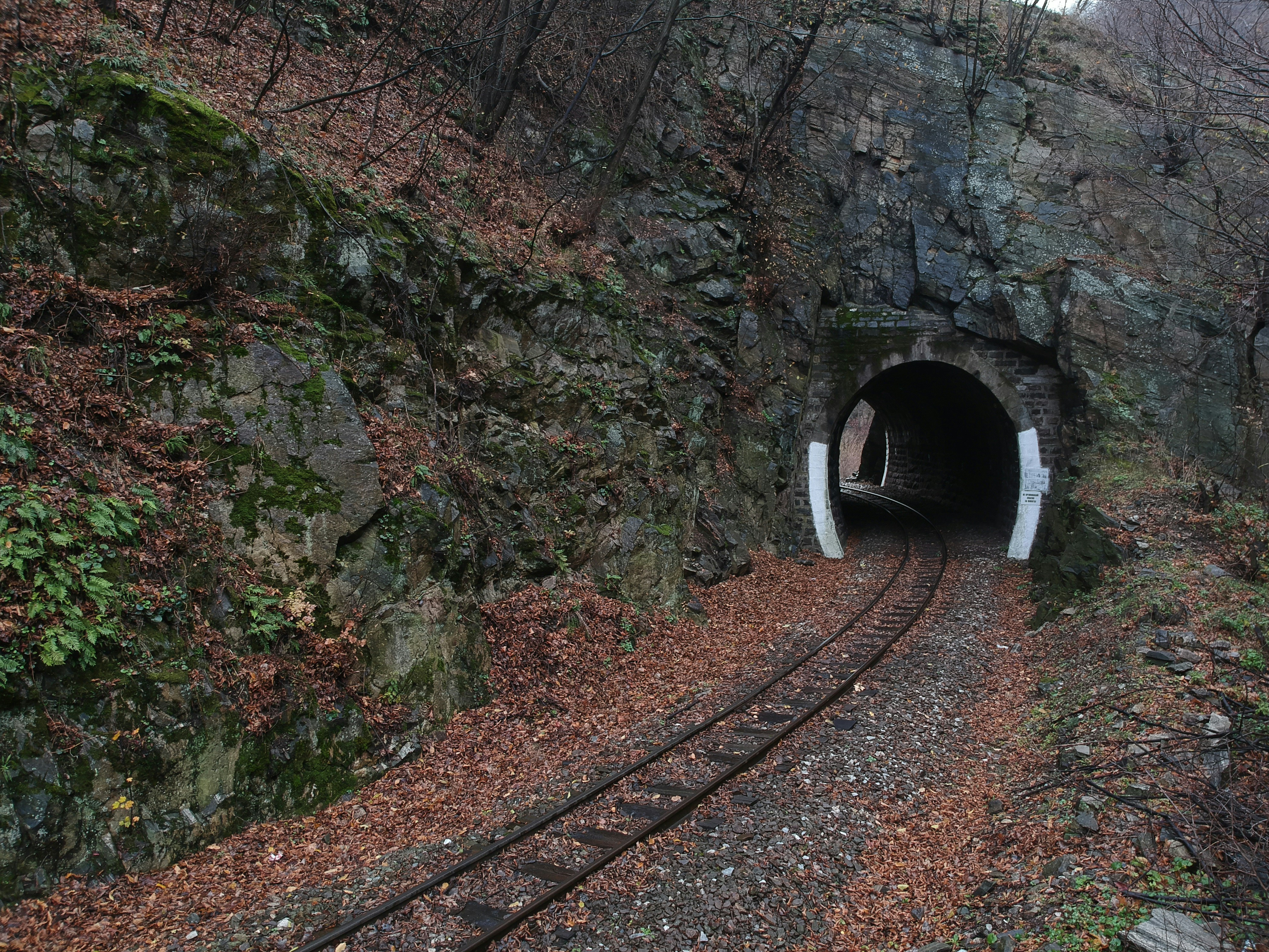 Photo by kalindimchev