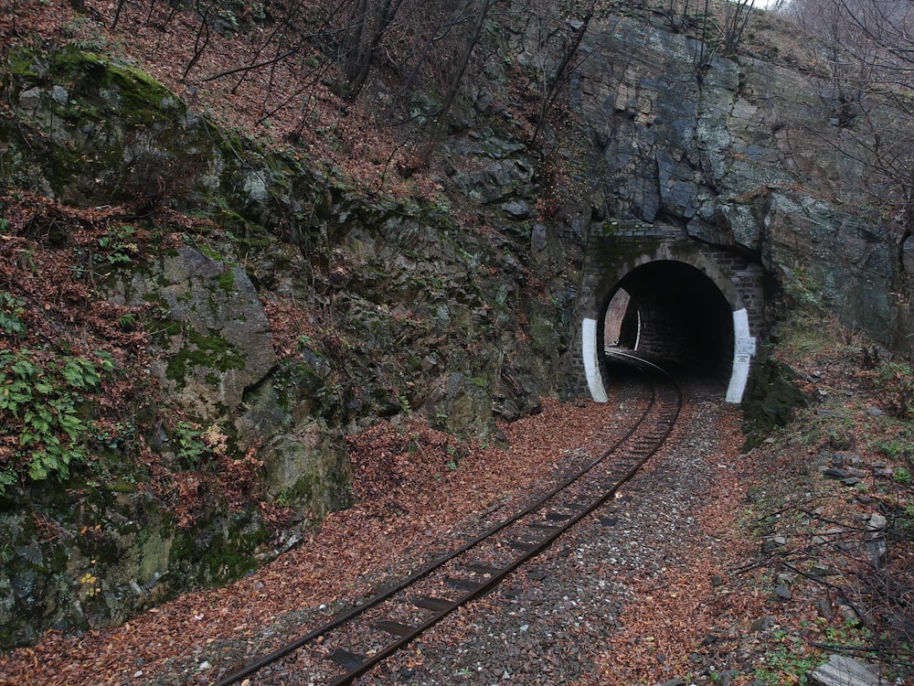 brown cave