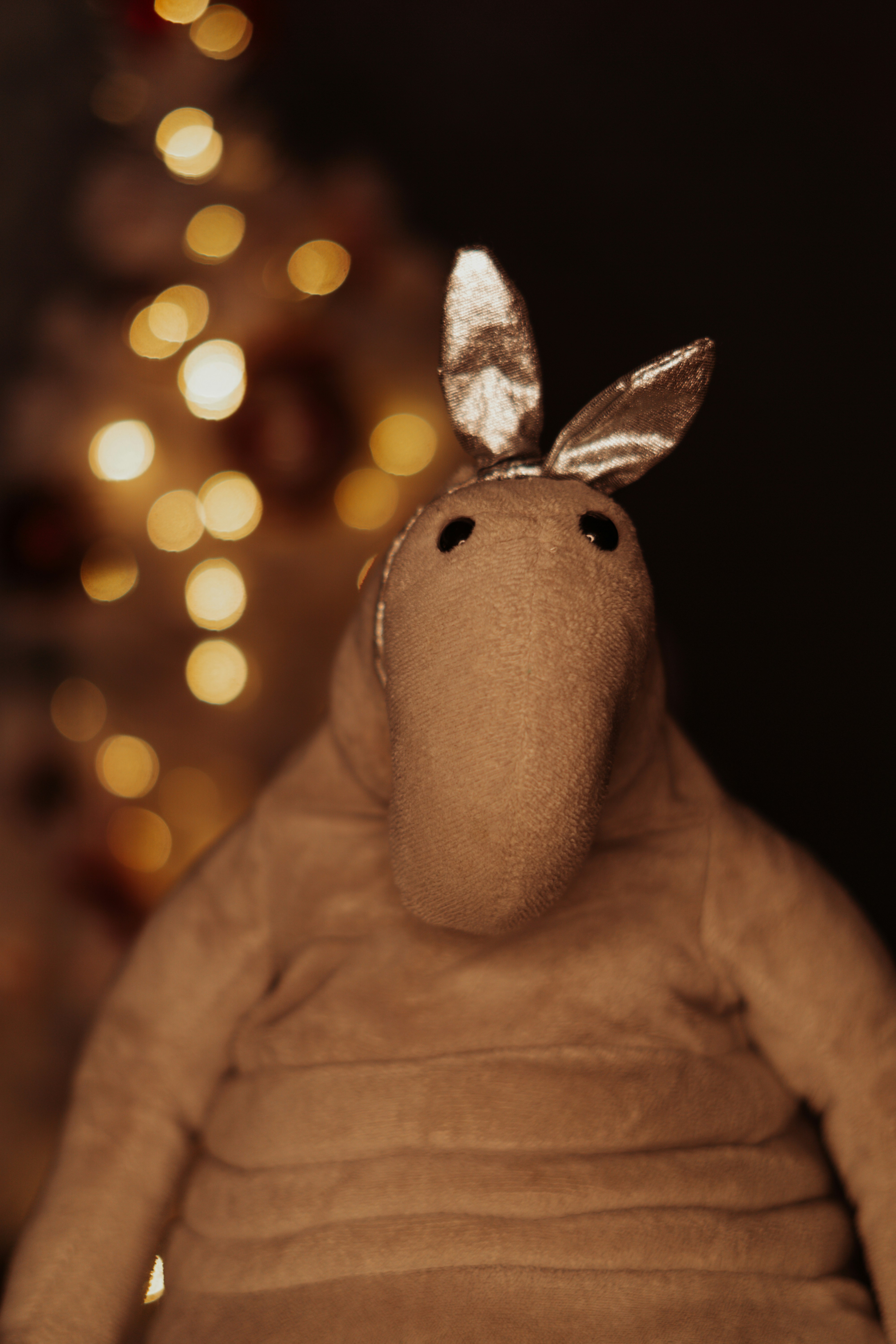 Photo by dead__angel_