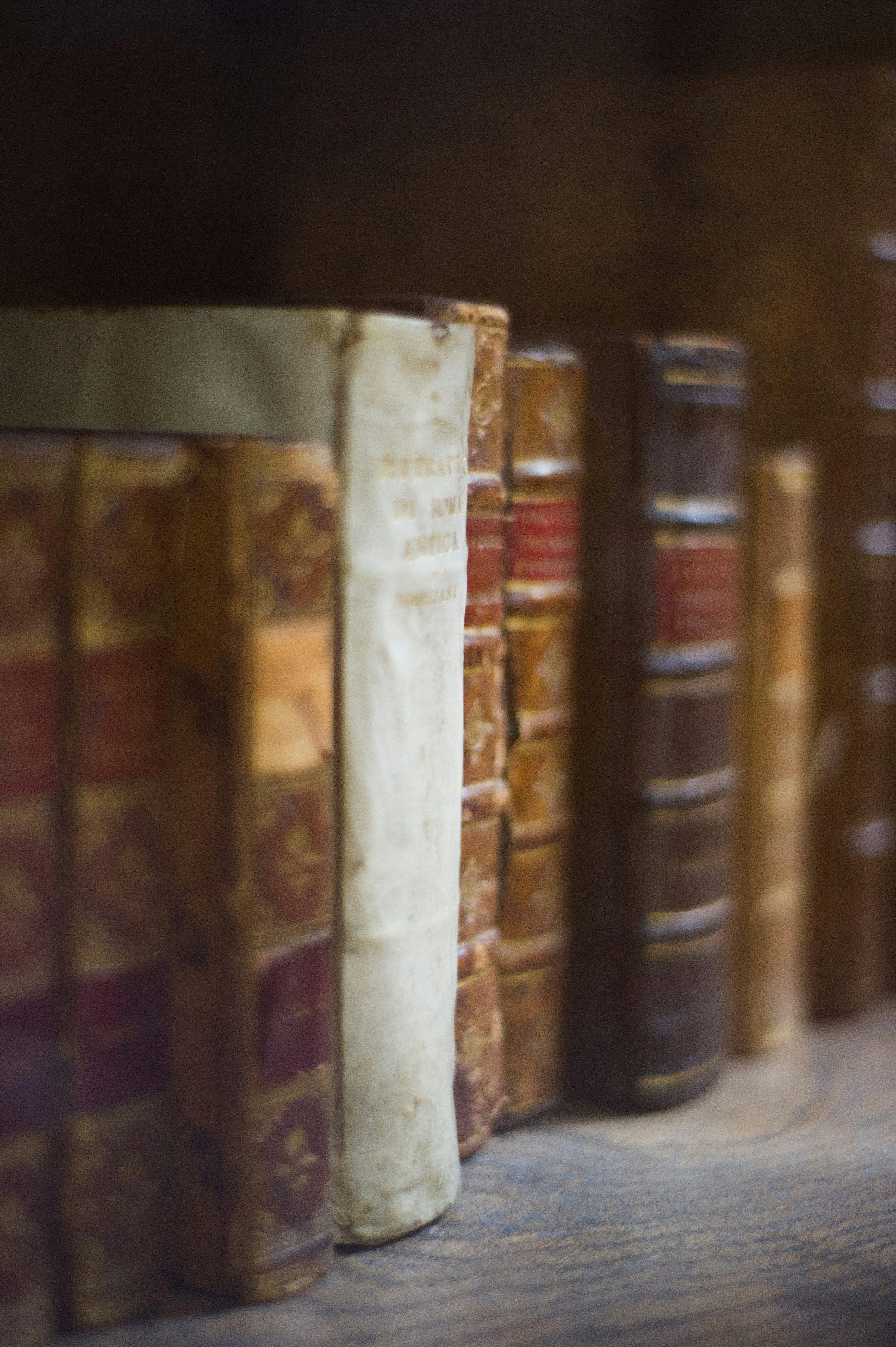 Photo by auroraborealisme