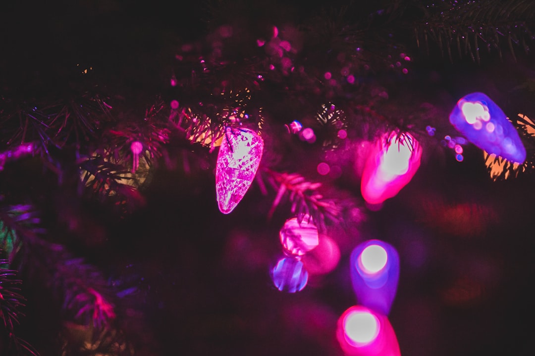 purple and pink string lights