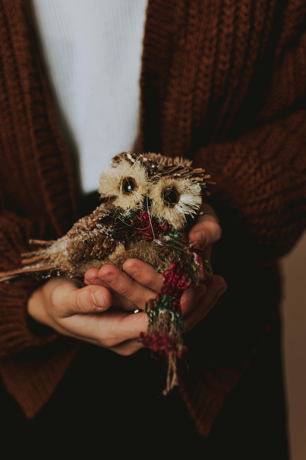 person holding owl decor