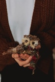A person is holding a small, handcrafted owl made from natural materials such as pine cones and straw. The owl is adorned with a colorful woven scarf. The person is wearing a brown knitted cardigan over a white shirt.