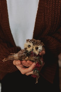 A person is holding a small, handcrafted owl made from natural materials such as pine cones and straw. The owl is adorned with a colorful woven scarf. The person is wearing a brown knitted cardigan over a white shirt.