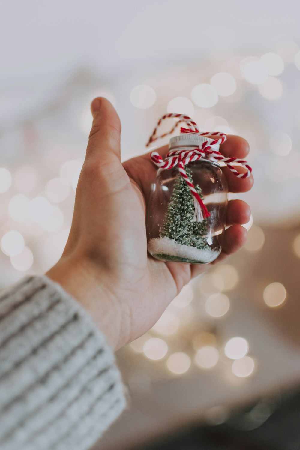 person holding Christmas tree in jar giveaway