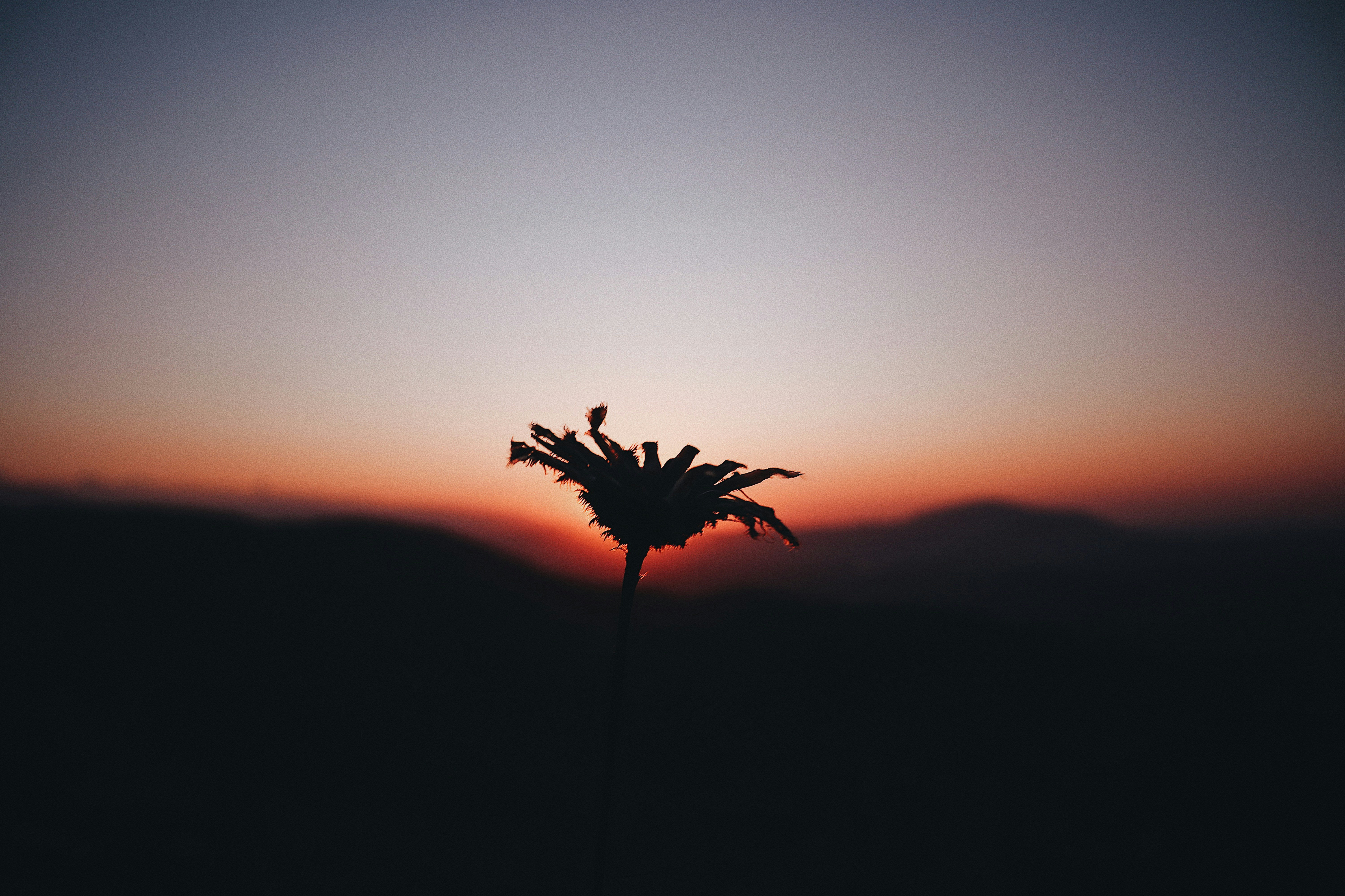 Photo by alecsbv28