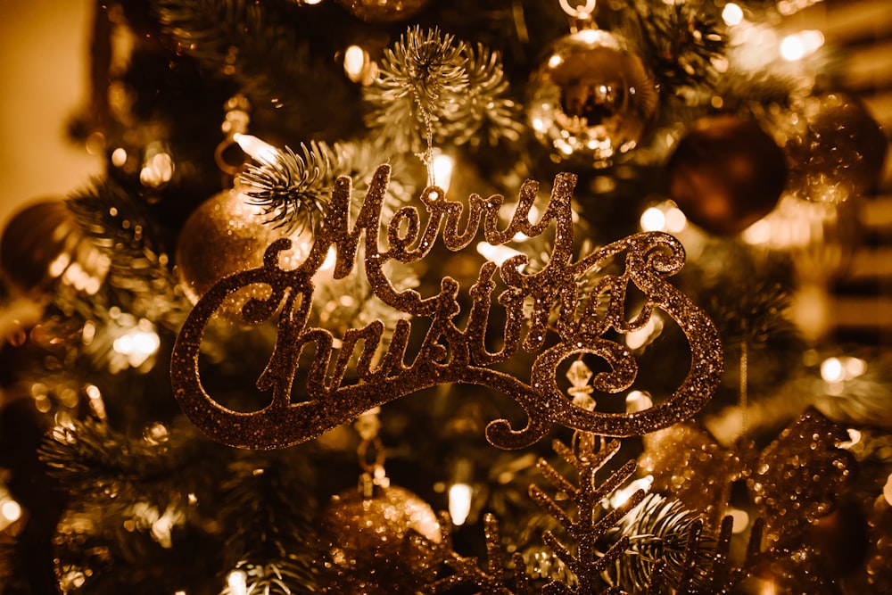 selective focus photography of Merry Christmas text hanged on Christmas tree