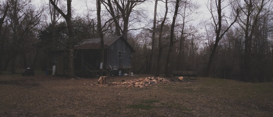 A rustic wooden cabin is nestled among tall, bare trees in a forested area. In front of the cabin, there's a stack of chopped firewood on the ground. The scene appears to be in late autumn or winter, as the trees have no leaves.