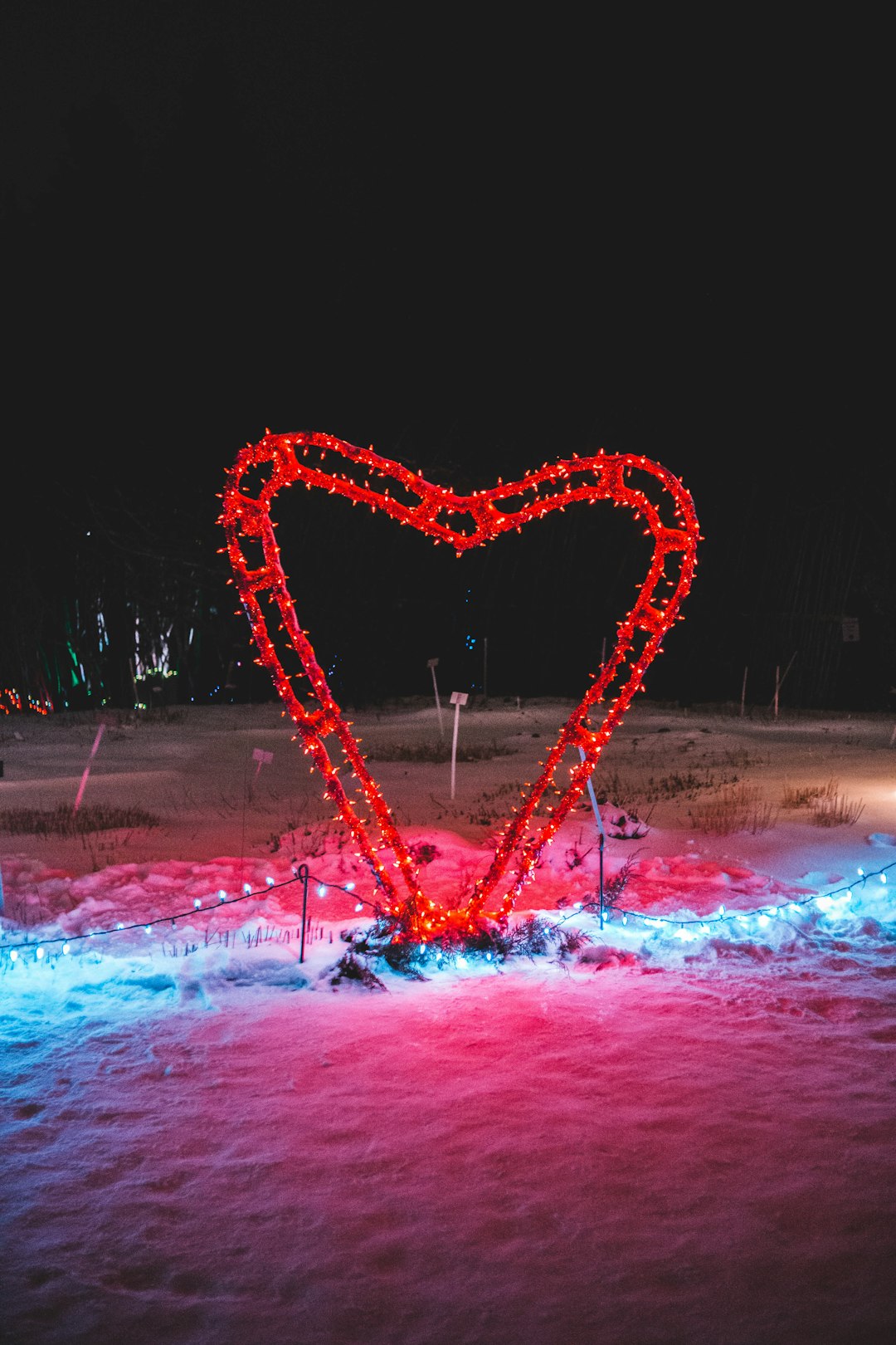 red heart on snow at night