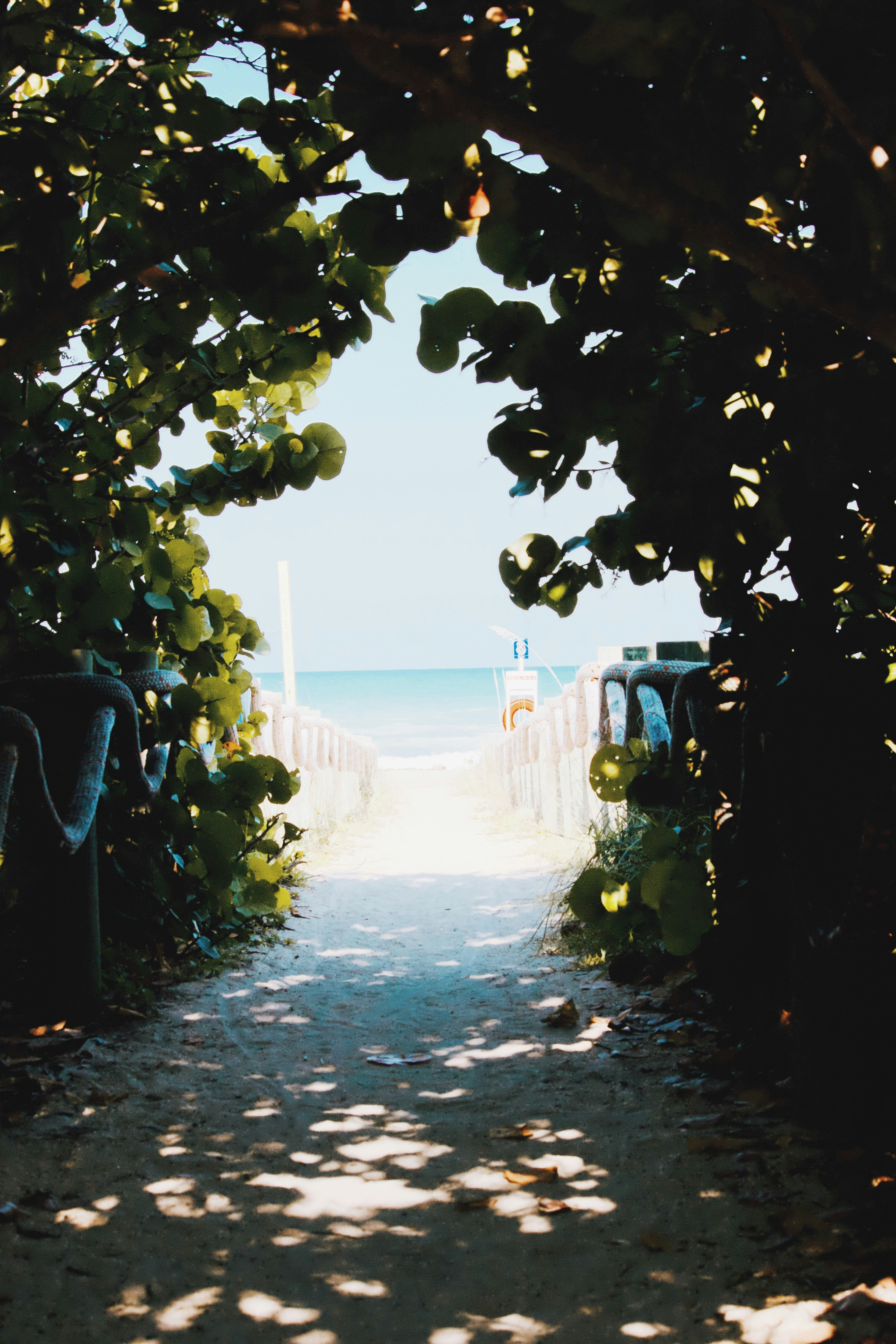 Photo by californong