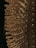 Close-up of a hairbrush with wooden bristles, each evenly spaced and protruding from a textured base. The lighting casts soft shadows, highlighting the natural wood tones and pattern of the brush.