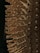 Close-up of a hairbrush with wooden bristles, each evenly spaced and protruding from a textured base. The lighting casts soft shadows, highlighting the natural wood tones and pattern of the brush.