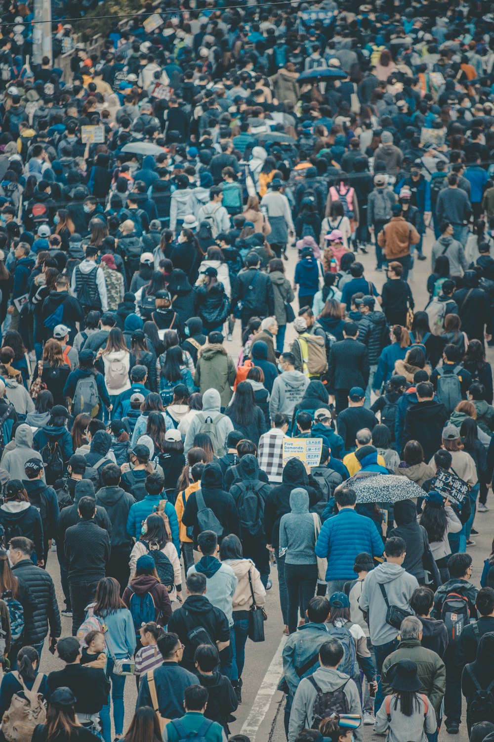 a large group of people walking down a street