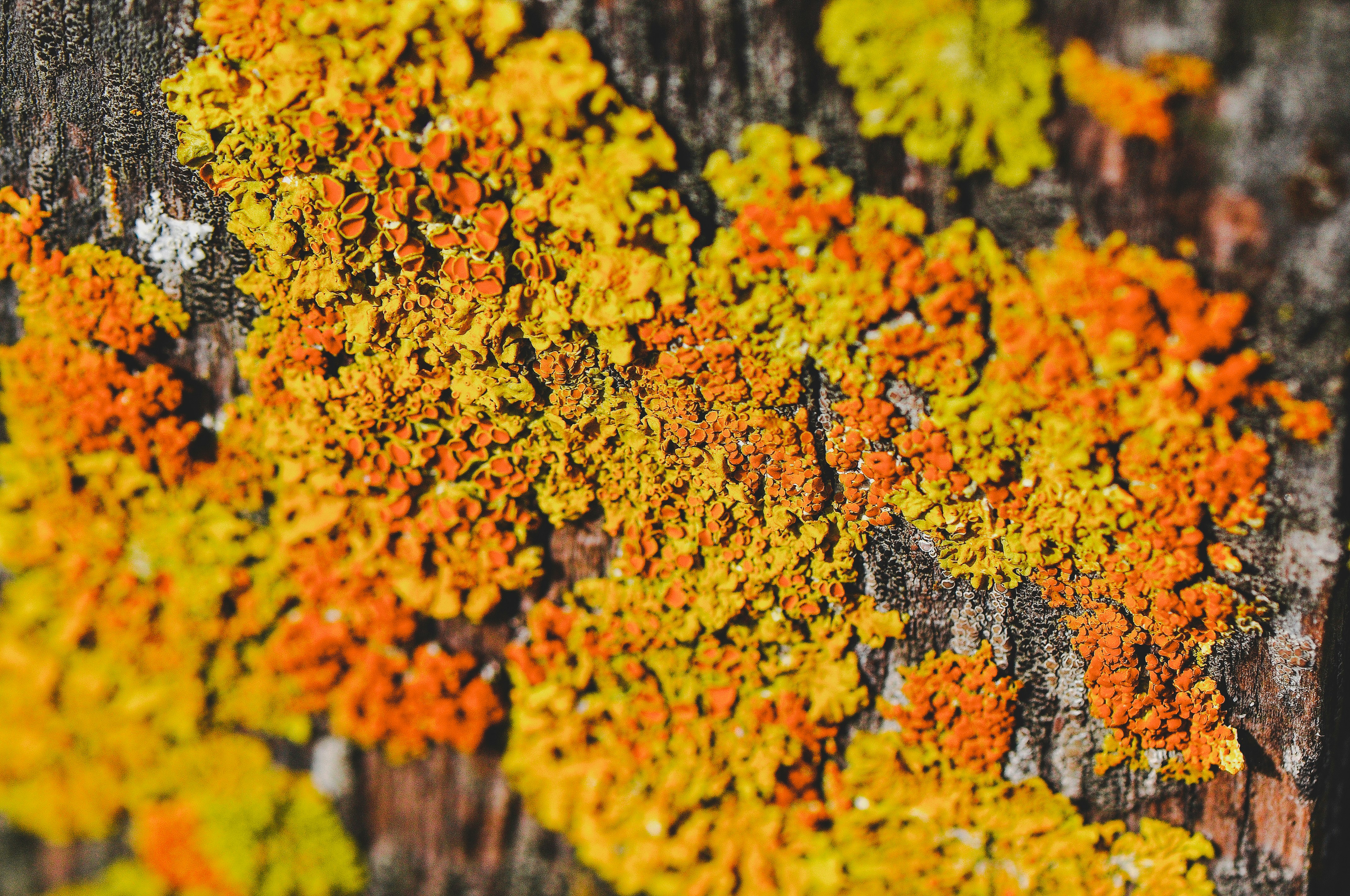 Photo by natalieparham