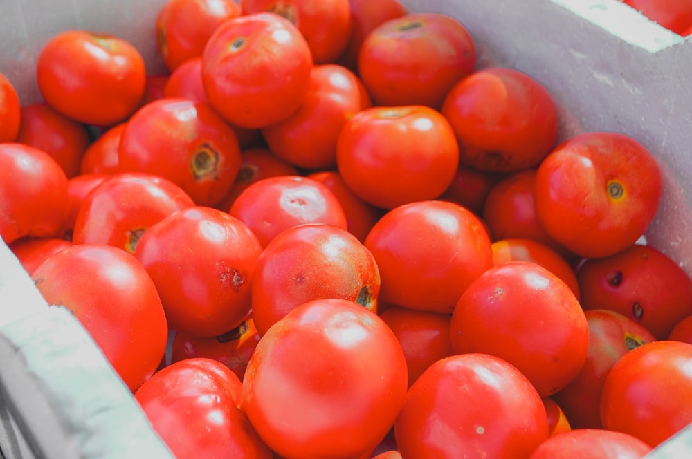 red tomatoes in the box