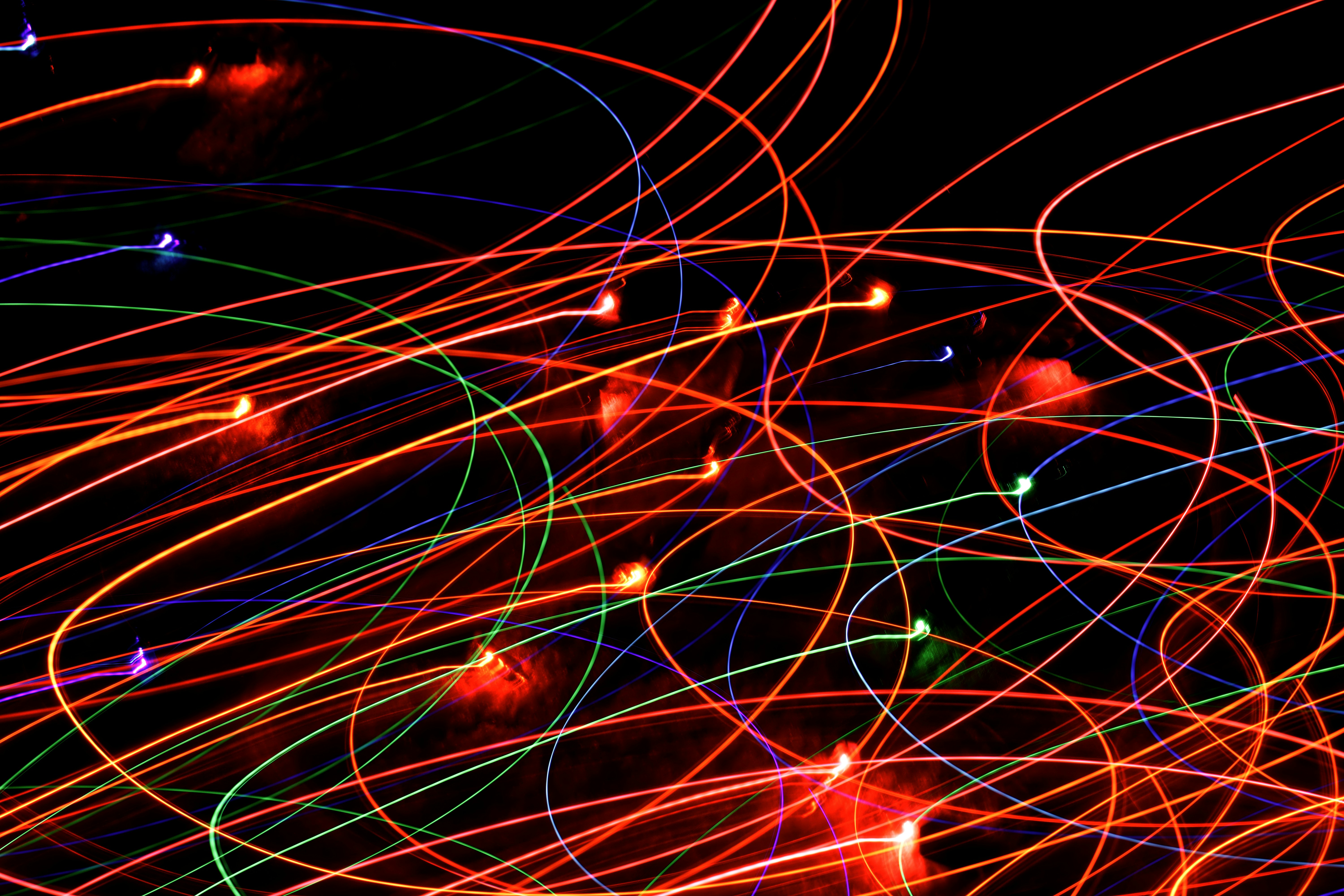 Photo by bordercollieluvr