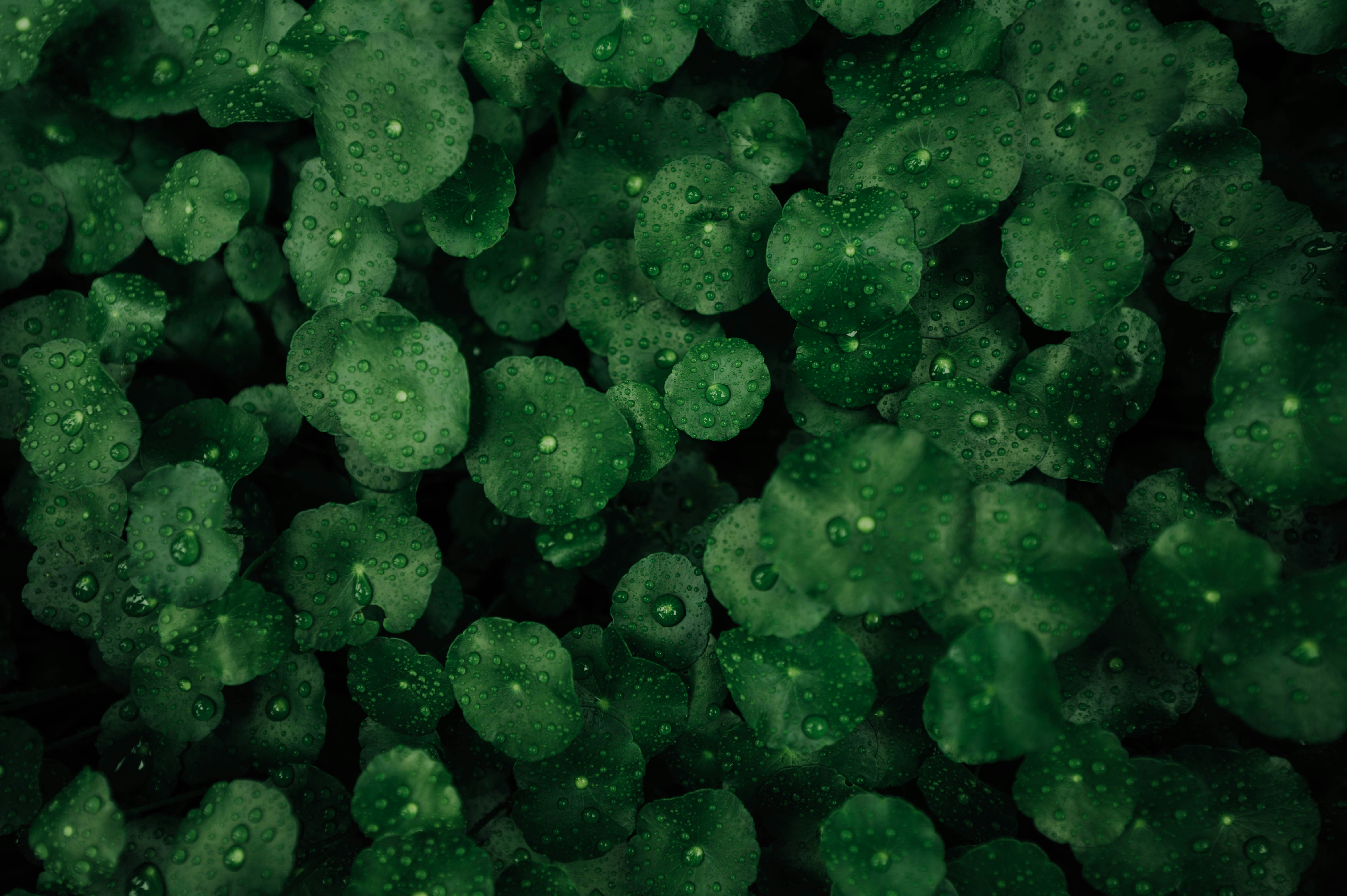 Photo by chuttersnap