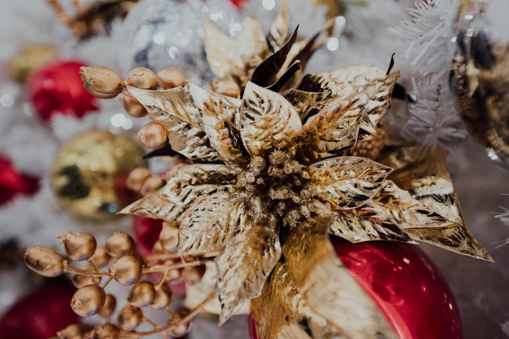 selective focus photography of brown-leafed plant