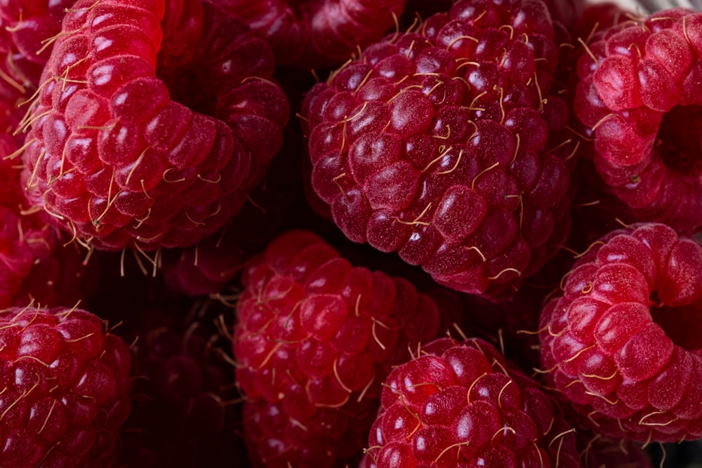 Photographie sélective de framboises rouges