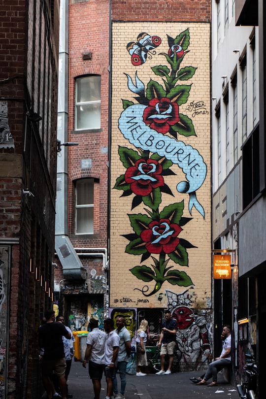 Melbourne red rose graffiti during daytime in Garden State Hotel Australia