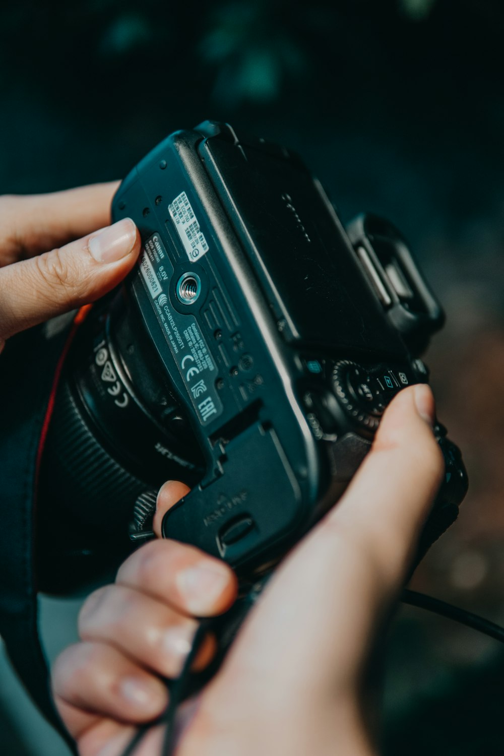 selective focus photography of person holding black camera