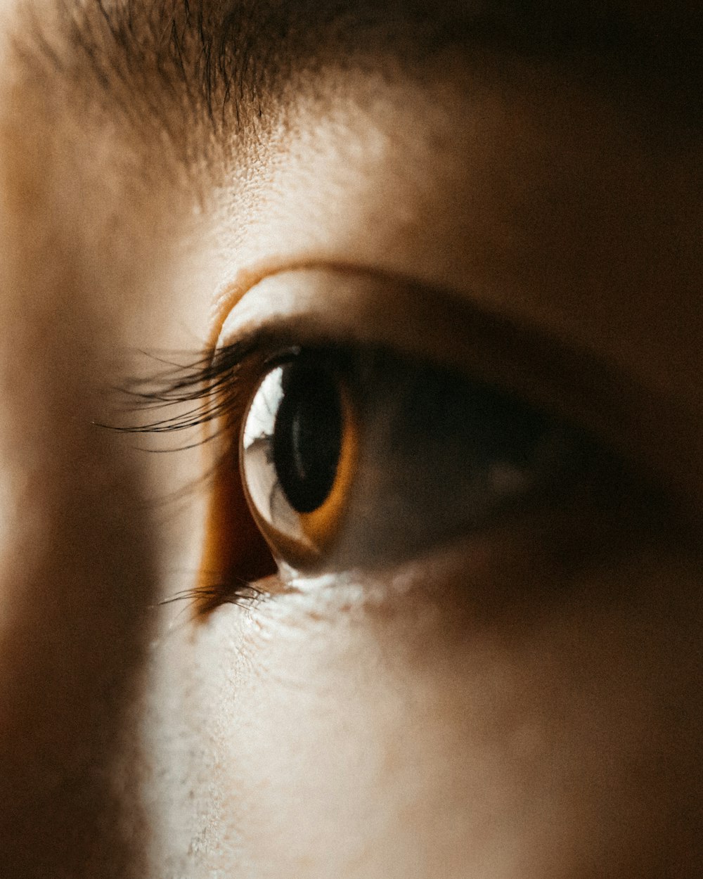 selective focus photography of person's eye