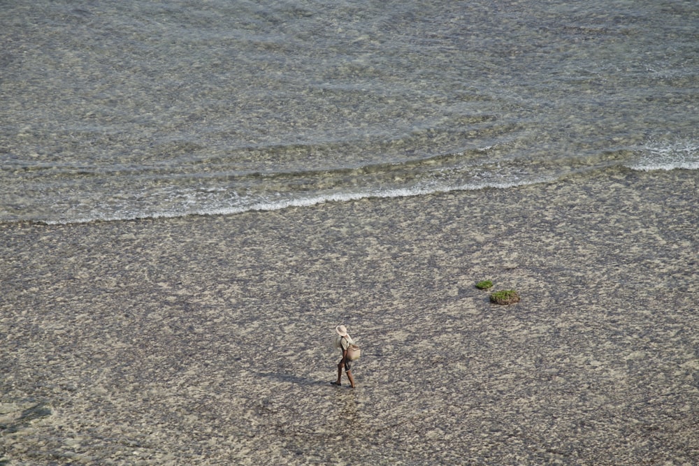 body of water during daytime