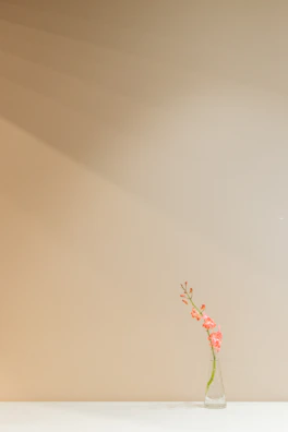 A minimalist still life featuring a single flower in a glass vase on a white table.