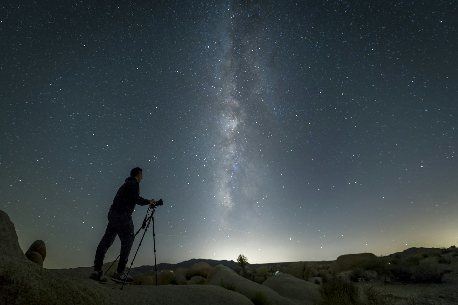 Nikon D5 + Nikon AF-S Nikkor 14-24mm F2.8G ED sample photo. Man holding camera photography