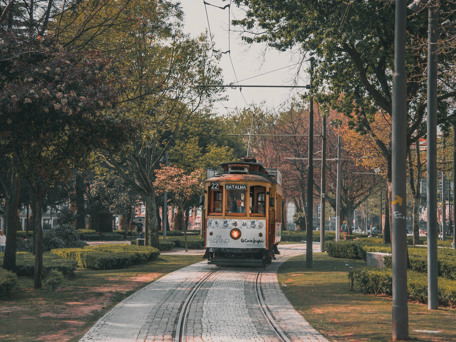 Photo · Siddhant Kumar / Unsplash