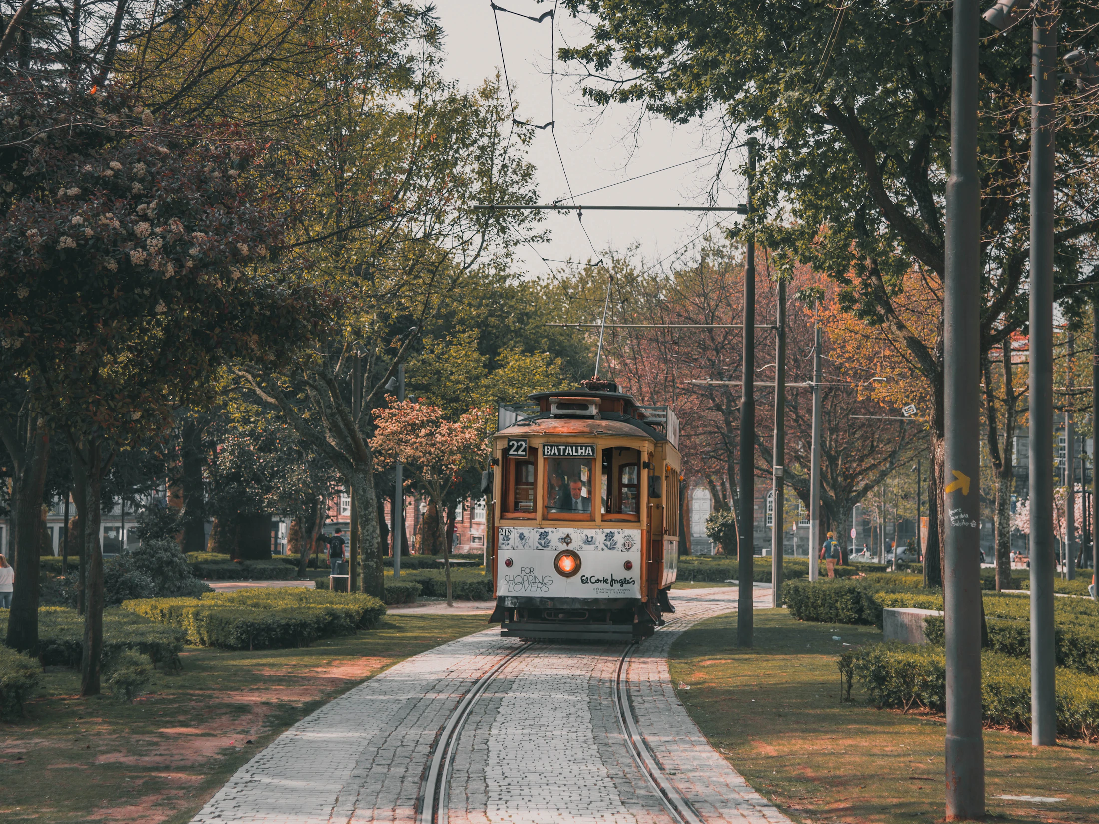 Photo · Siddhant Kumar / Unsplash
