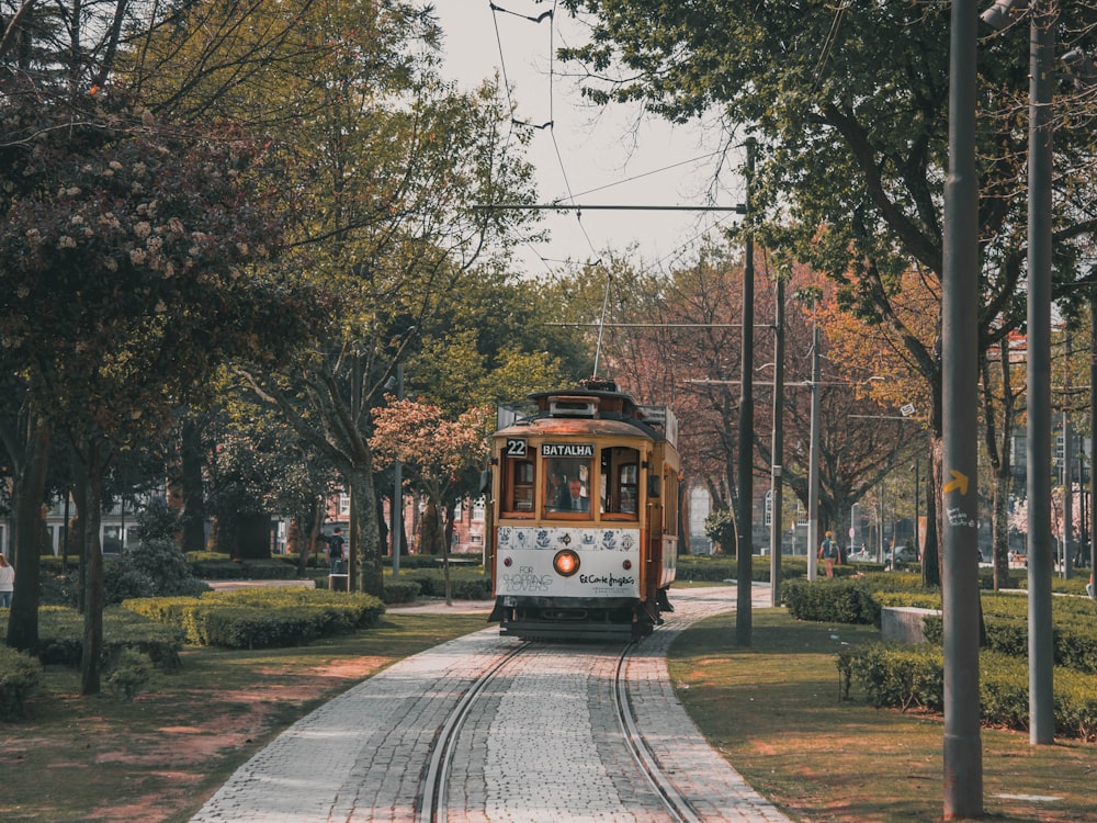 braun-weiße Straßenbahn zwischen Bäumen