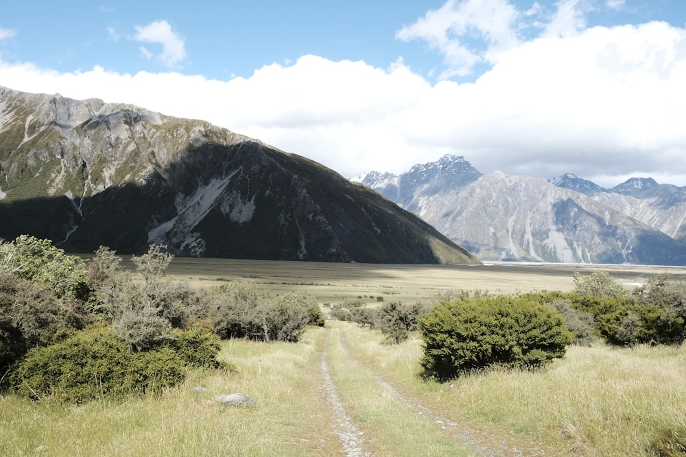 green grass and brown mountain during daytime