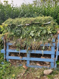 A compost heap constructed with a blue wooden pallet is filled with green plant material, dried leaves, and cardboard. It is located outdoors, surrounded by lush green vegetation including bushes and small trees.