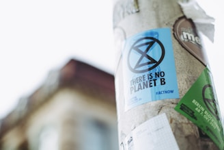 A utility pole is adorned with colorful posters, the most prominent of which is blue and features a stylized hourglass logo with the text 'THERE IS NO PLANET B'. Other posters, including a green one, contribute to the cluttered yet expressive appearance of the pole. The background shows a blurred view of a building with a gabled roof against a pale sky.